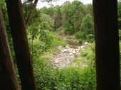 DSC08051.JPG